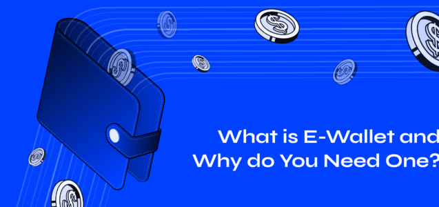 What is E-wallet and Why Do You Need One?