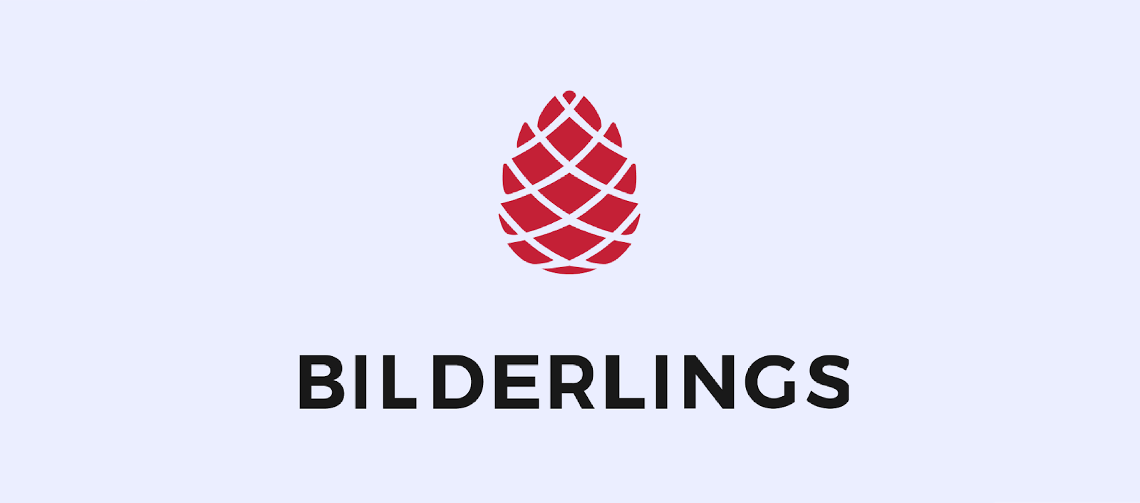 Bilderlings fintech solutions logo on a neutral background