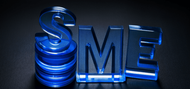 Importance of Small and Medium-Sized Enterprises (SMEs). Growth, Challenges, and Economic Impact