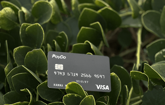 PayDo: About Us